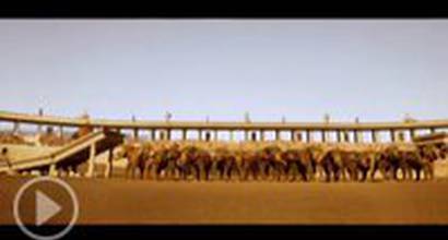 Фильм о фильме №3 (дублированный)