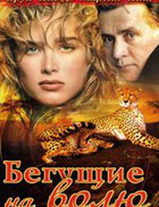 Бегущие на волю