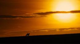 Кадр из фильма "Боевой конь" - 2