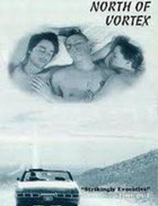 К северу от Вортекса