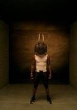 Мацио Ройстер фото