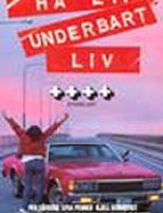 Ha ett underbart liv