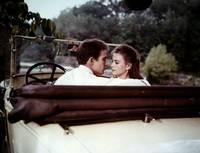 Кадр Великолепие в траве