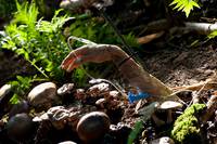 Кадр Ганнибал