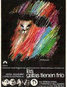 Las gatas tienen frío