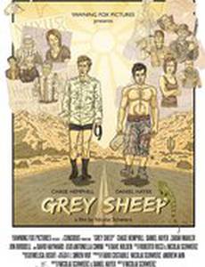 Grey Sheep
