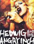Постер из фильма "Хедвиг и злосчастный дюйм" - 1