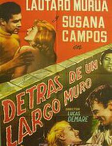 За длинной стеной