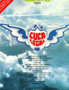 На трезвую голову