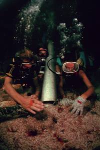 Кадр Бездна