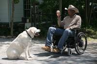 Кадр Третий акт