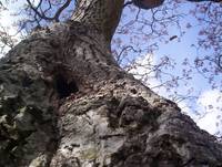 Кадр Tales from the Green Valley