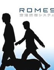 Ромес: Система обеспечения безопасности аэропорта