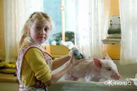 Кадр Паутина Шарлотты