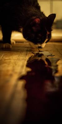 Кадр Вечная жизнь