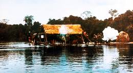 Кадр из фильма "Агирре, гнев божий" - 1