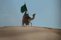 Кадр Черное золото