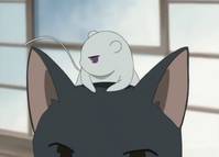 Кадр Корзинка фруктов