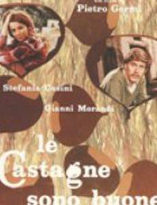 Каштаны хорошие