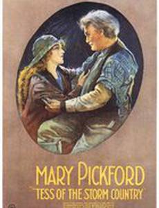 Тэсс из страны бурь