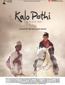 Чёрная курица