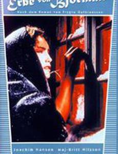 Das Erbe von Björndal