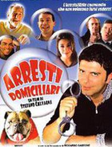 Домашние аресты