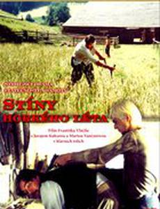 Тени знойного лета