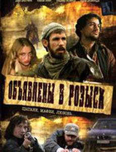 Объявлены в розыск (мини-сериал)