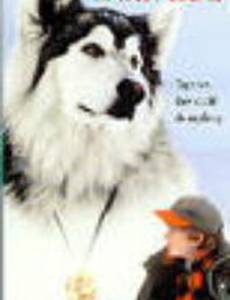 Legend of the Spirit Dog