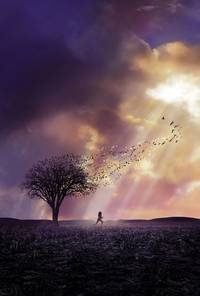 Постер Милые кости