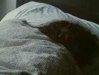 Кадр Спаси и сохрани