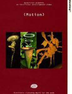 Motion