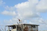 Кадр Звери дикого Юга