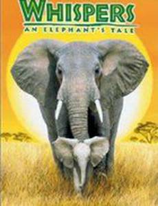 Приключения слона