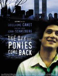 День, когда вернулись лошадки