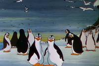Кадр Странные пингвины