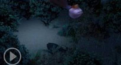 ТВ-ролик №18