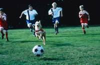 Кадр Король футбола