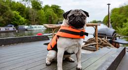 Кадр из фильма "Патрик " - 2