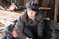 Кадр Сволочи