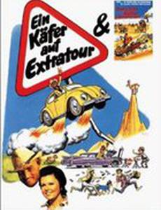 Ein Käfer auf Extratour
