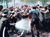 Кадр Бананы