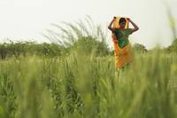 Кадр Рамчанд из Пакистана