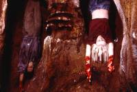 Кадр Гемоглобин