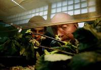 Кадр Глупцы