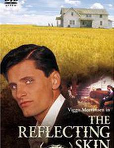 Отражающая кожа