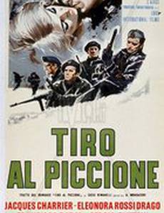 Стрельба по блюдечкам