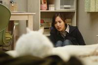 Кадр Кот: Глаза, которые видят смерть