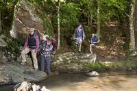 Кадр Прогулка по лесам